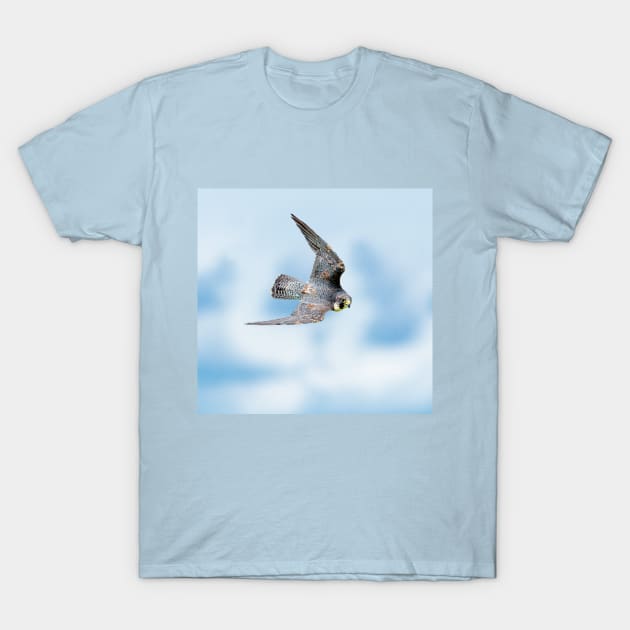 Peregrine falco peregrinus T-Shirt by dalyndigaital2@gmail.com